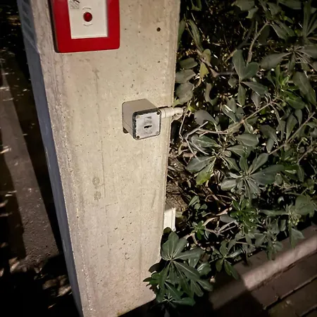 Landora Nummer 141 * Бибионе